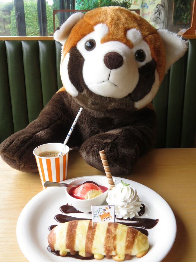 ベビーラッシュ初夏の伊豆シャボテン動物公園22 ３ あじさいととトリトマ咲く動物公園色々 サボテン花盛り アニマルショーとボートツアー 伊豆高原 静岡県 の旅行記 ブログ By まみさん フォートラベル