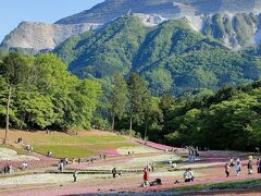 長瀞駅から、秩父鉄道にのって、最後の目的地、芝桜の有名な羊山公園に向かいます。

今年は、芝桜の開花が早かったのか、全体的な見ごろは過ぎておりました。


武甲山もきれいに見えてます。
