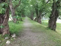 パフェのあとは、桧木内川の川沿いを歩きます。