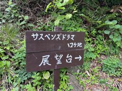 次に車を停めて立ち寄ったのは、志賀町にある巌門という、金沢在住の友人いわく、東尋坊などと並んでサスペンスのロケ地として有名な場所とのことで、この看板（笑）。そのまんま。何だか愛おしすぎます。