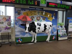 仙台から在来線だけで君津へやって来た。
念願の牛にもご対面。