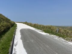 14:02白い道スタート地点です！

宗谷岬から大体45分程でした。