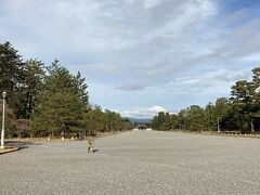 広い大きいです。のんびりと歩けます。