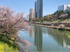 ＜外堀通り沿い（市ヶ谷～飯田橋）の桜＞昨日、新見附橋からの撮影です。みどころのピークはちょっと過ぎてしまいましたが、花びらがお堀に散っていい感じです。