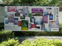 蜷川実花写真展の案内
蜷川実花は現代日本を代表する写真家・映画監督として、独自のスタイルで知られています。その視線は一貫して、いのちの輝きと儚さに対して向けられてきました。写真を中心に、多岐に渡る表現を手掛ける蜷川ですが、本展では、コロナ禍の国内各地で昨年から今年にかけて撮影された、最新の植物の写真と映像をご覧いただきます。アール・デコ様式で装飾された当館の建築に、蜷川の作品を重ねることで、様々な時間の交差する場を出現させるものです。植物から植物へと、あたかも蝶のように回遊しながら、蜷川のまなざしを追体験できる貴重な機会となります。(説明文より)