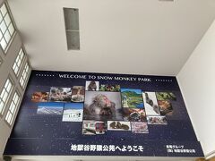 湯田中駅に到着！今回は行かなかったけど、お猿さんが入る温泉があるみたい。
駅には沢山のツバメが子育て真っ最中でした。