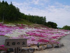 三島さんの芝桜に来ました。