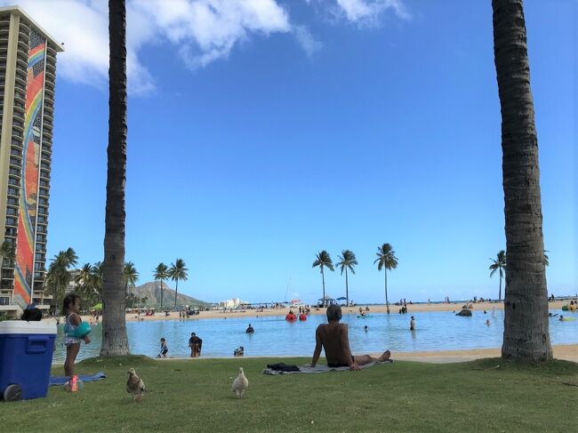 ふと目覚めた視界には、確かにパラダイスハワイが在りました。