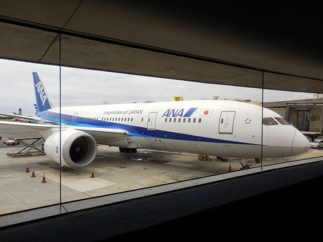 旅客機のフライト準備が整ったようです。