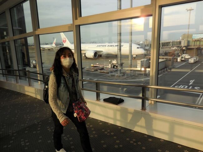 そして、無事に定刻通り、羽田空港に到着しました。