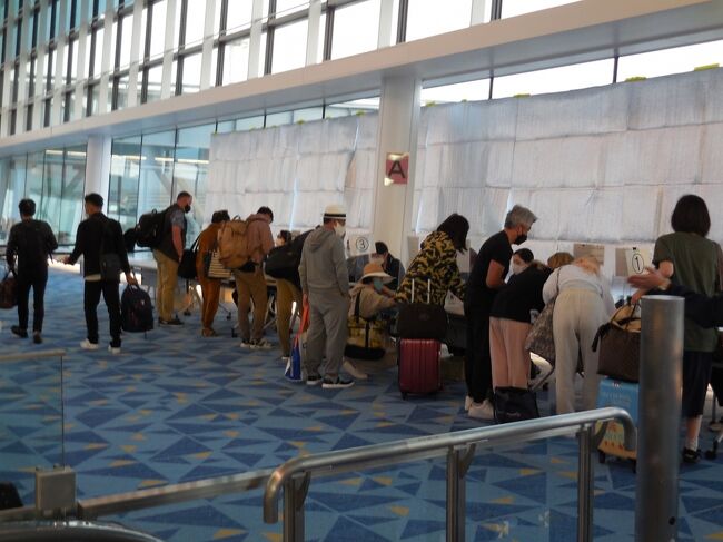 例によって、アプリ登録には意味が無く、再び書類に記入します。昨年末のお粗末対応から、何の改善もありません。<br />この手間が必要ならば、何故にアプリ登録させるのでしょう？<br />そのアプリ登録は、個人を監視する目的だけとしか思えません。<br />アメリカの場合のIT化は、個人の社会生活をスムーズにし、社会保全を強化する効果があると感じますが、日本はまるで違いますね。個人の監視が狙いです。<br />レジャー旅行は個人の権利であり自由意思によるものです。何も悪い事をしている訳ではないのですよ。<br />基本的な考え方が、日本の場合は全体主義の親方日の丸で、個人生活は規制ばかりが強いられているような気がします。統一国家の人権侵害に近いですね。