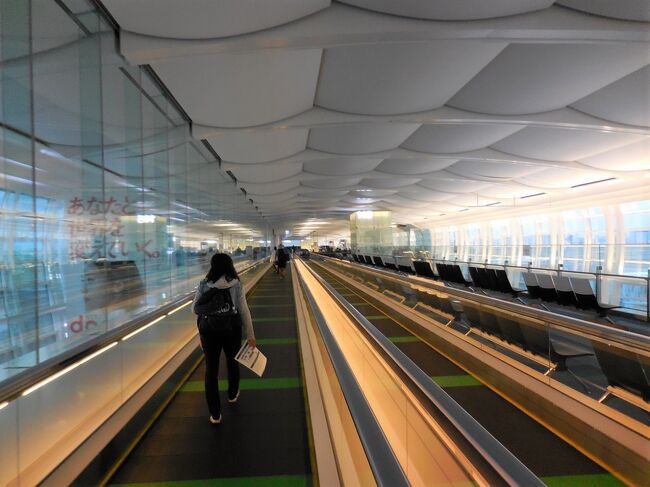 そして更には、また再びのPCR検査です。