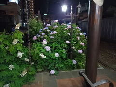 2022.05.21　洗馬橋
夜、熊本駅で翌週の切符を調達するためもう一度市内にやってきた。駅からバスに乗って商工会議所で降りて、歩いて洗馬橋。カメラ忘れたので夜の部は携帯で。