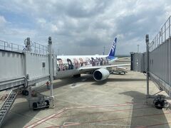 ちょうど鬼滅の刃の機体に乗り合わせました。
皆さん写真を撮りながら乗り込みます。

機内アナウンスが竈門炭治郎でした。
他は特に他の便と代わりはありません。