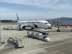 AM10時には熊本空港へ到着♪
1日目からまだまだ時間たっぷりです、早い便に振り替え出来て良かったです。