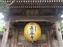 鎌倉のアジサイ2大名所の長谷寺へ。山門の提灯は通常赤色のところ、2021年に本尊（十一面観世音菩薩）造立1300年を迎えたということで、本尊と同じ金色のものが掲げられている。
