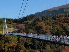 そして、夢大吊り橋に着いた頃には雲一つない晴天
長さ390ｍ　高さは173ｍもあります。
若干揺れるのがスリリングな橋でした。
橋からの紅葉と青空と素晴らしいコラボでした。