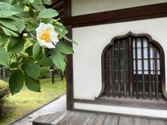 前回来た時にお気に入りだった、沙羅の花（夏椿）の咲く「地蔵堂」の所にやって来ました。