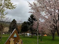 当初予定していた鶉ダムキャンプ場を下見。この頃は桜満開でした。