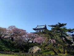 松前城　桜まつり