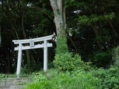 大島最高峰にある御嶽神社。中津宮の湍津姫神の荒御魂が祀られているとのこと。
電動レンタサイクルで、坂の途中で止まると重くて走り出せなくなるので、一気に駆け上がってきました。汗だく。