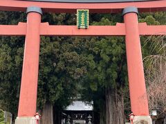 どこにも寄らないつもりだったけれど、ホテルから数分の河口浅間神社へ参拝。