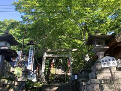 初夏の熊野皇大神社は初めてきました。
ここはバスも来るし、旧軽井沢銀座を通り抜けるので、
往来が危険なので早朝にしかこれません。