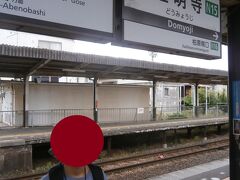  ５分ほどで道明寺駅に到着しました。これで道明寺線は制覇しました。