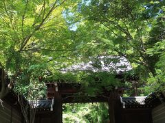 まずは駅から近い法輪寺へ行ってみます。
緑の木々が美しい。木陰になってちょっと涼しい。