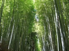 天龍寺の裏口から出ると「竹林の道」が広がっています。
時々修学旅行生の団体が来ますが
通り過ぎると静寂に戻ります。