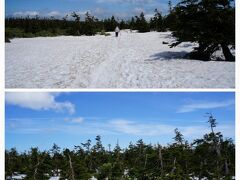 さらに雪道、散策路を歩いていきます。

本格装備に、熊鈴まで付けて、
「チリン♪チリン♪」と鳴らしながら歩く、
ハイカーの方々。

防寒用の真っ黒なパーカーを着ていたBlack7を、
熊と間違えたのか？
やたら「チリン♪チリン♪」鳴らしていた
ハイカーのオジサマ。

でもこの日、「クマ目撃情報」は、今の所ない。