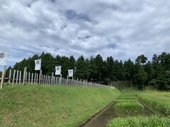 10：00
春日山城史跡公園
早起きしてロングドライブの末にたどり着いたのは
長野県長野市ではなく新潟県上越市