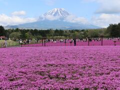 軽食をとろうと売店を物色しているうちに、富士山の山頂が見えてきた。