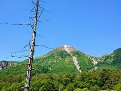 焼岳

大正池の上流側から観る焼岳です(^^)