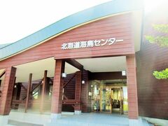 バラ園の隣の『北海道海鳥センター』へ。
入場無料。
