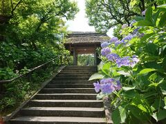 北鎌倉にはもう一つ有名なお寺があります。それはかつては駆け込み寺だった尼寺「東慶寺」です。いまは、尼寺ではありませんし、駆け込み寺でもありませんが、風情のある趣は当時と変わらないのではないでしょうか。