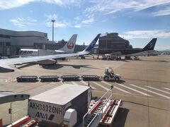 というわけで、福岡空港に到着。
