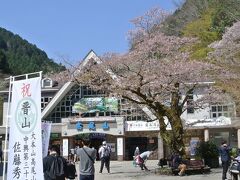 京王線で高尾山口駅を降りて、登りました。ケーブル・リフトが出る下界（写真）は既に桜が散っていますが、