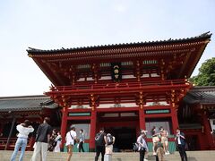 鎌倉散策の〆はやっぱりここ。鶴岡八幡宮です。
言わずと知れた鎌倉のランドマーク。源頼朝が建立した神社です。