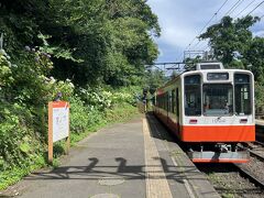 箱根登山鉄道の宮ノ下駅に着きました
ここまでも、車窓からのあじさいを楽しんできましたが、駅のあじさいもきれいです
