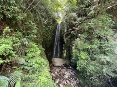 大平台から、国道１号線（箱根駅伝の山下りの６区）を下って塔ノ沢へ
その途中にある蛙の滝
道路わきにあるので、車からは一瞬で通り過ぎる滝です
