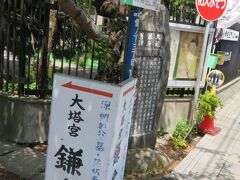 大蔵幕府跡。
１１８０年に源頼朝が建てた御所で頼朝、頼家、実朝の３代４５年間この場所が御所だったそうです。
今は碑が残っているだけですが。