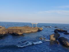 歩いて大洗磯前神社に行きました。
まずは海の鳥居から。