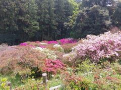 笠間つつじ公園