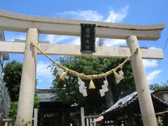 さっき上から見えていた神社に寄ります。
狛犬が「うさぎ」でした。