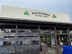 午前中はビーチでゴロゴロ、午後は雨予報だったので、お隣東村のやんばるの山の中にある又吉コーヒー園さんで、コーヒー焙煎体験です。