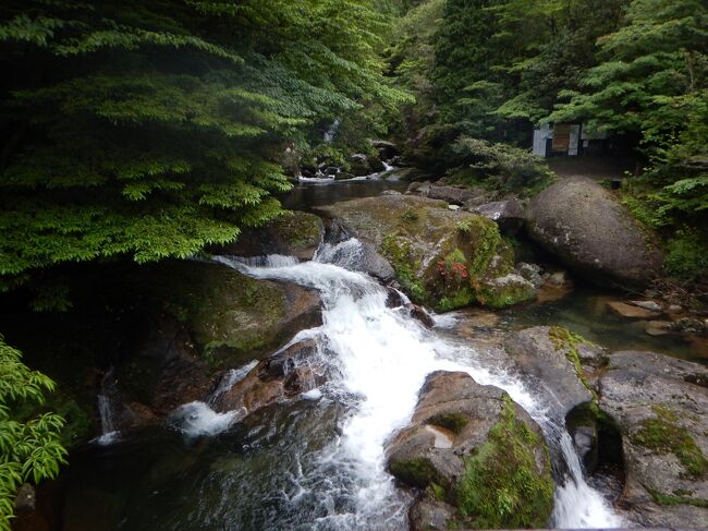 こちらのコースは昨日の縄文杉コースより水が近い