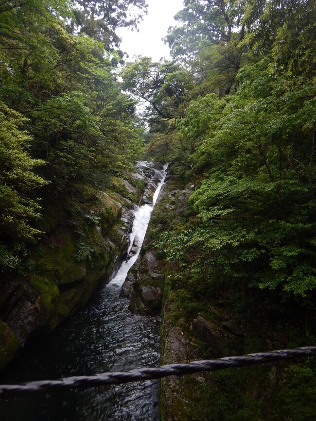 滝っぽい場所もあり<br /><br />私の住んでいる場所では立派に「○○の滝」とか名前がついちゃいそうだけどここでは当たり前の風景なんだね