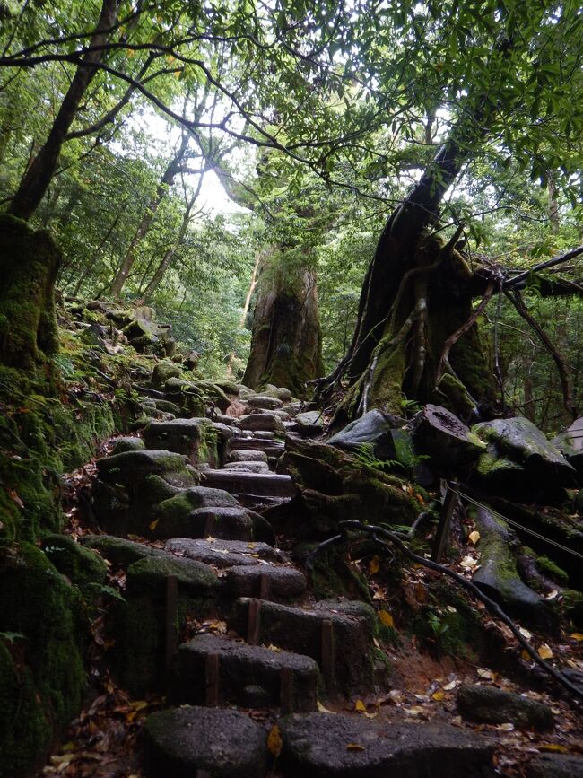 ちょっと登って