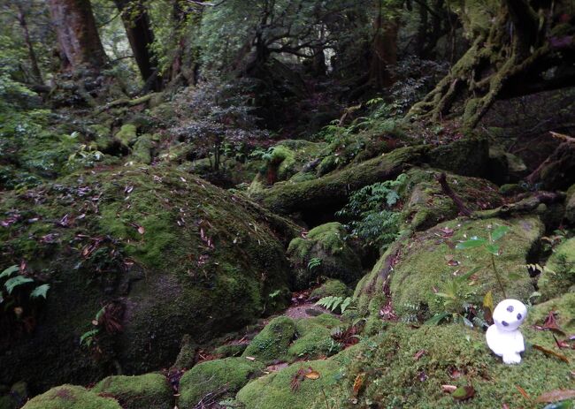さて、苔むす森を後にしますか～